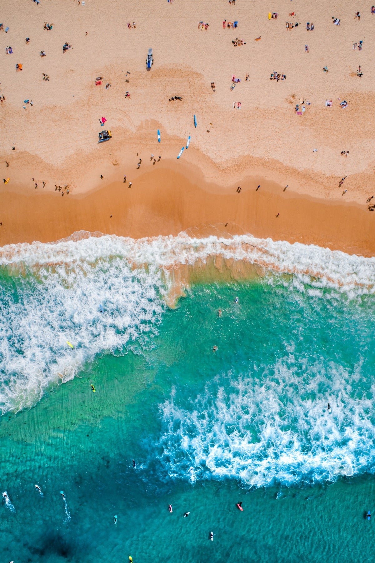 Bondi Beach from Above - Kess Gallery