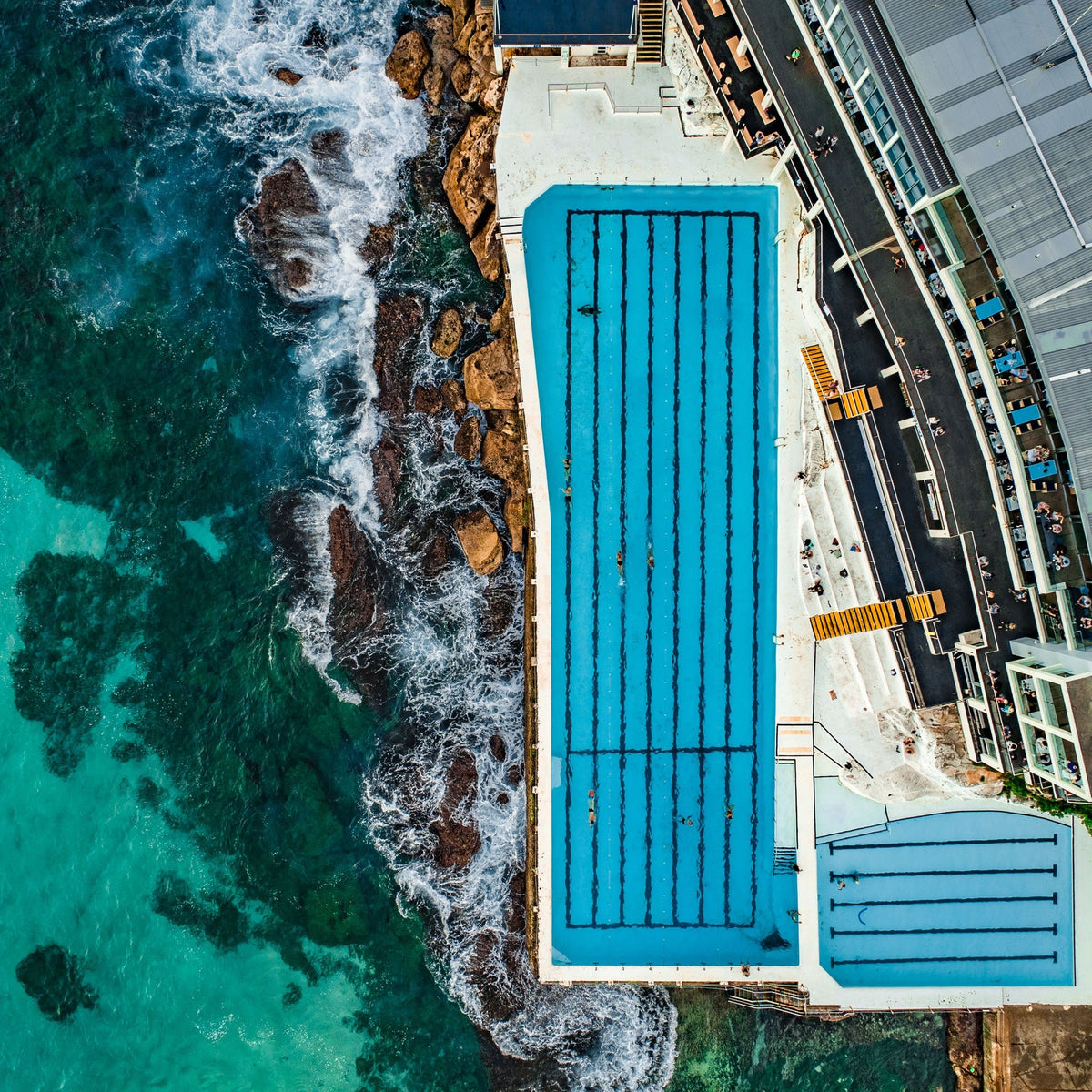 Bondi Icebergs I - Kess Gallery