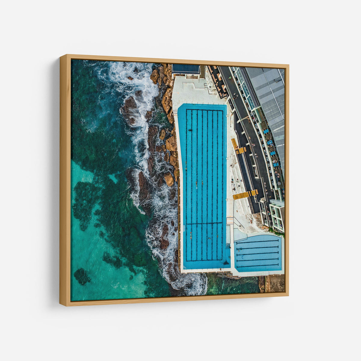 Bondi Icebergs I - Kess Gallery