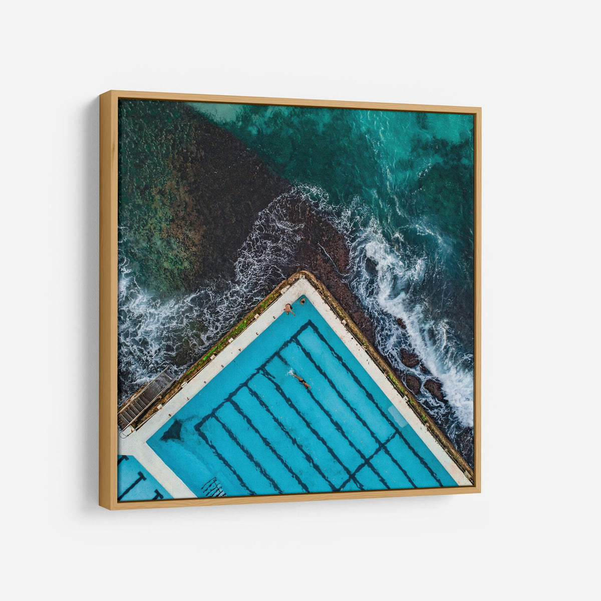 Bondi Icebergs II - Kess Gallery