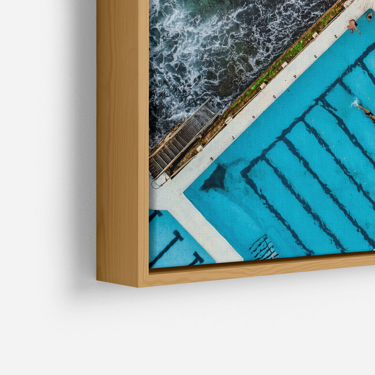 Bondi Icebergs II - Kess Gallery