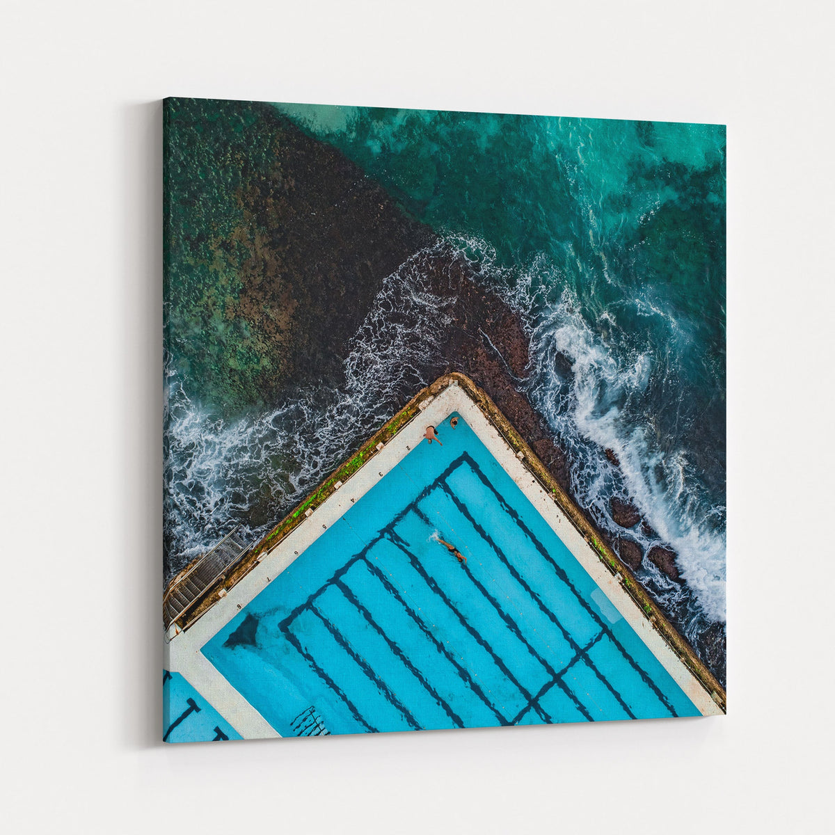 Bondi Icebergs II - Kess Gallery