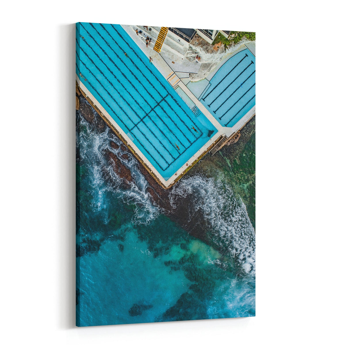 Bondi Icebergs III - Kess Gallery