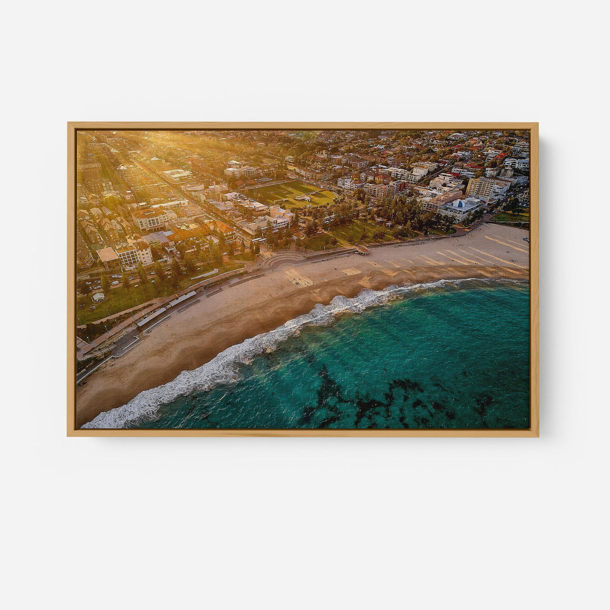 Coogee Rays - Kess Gallery