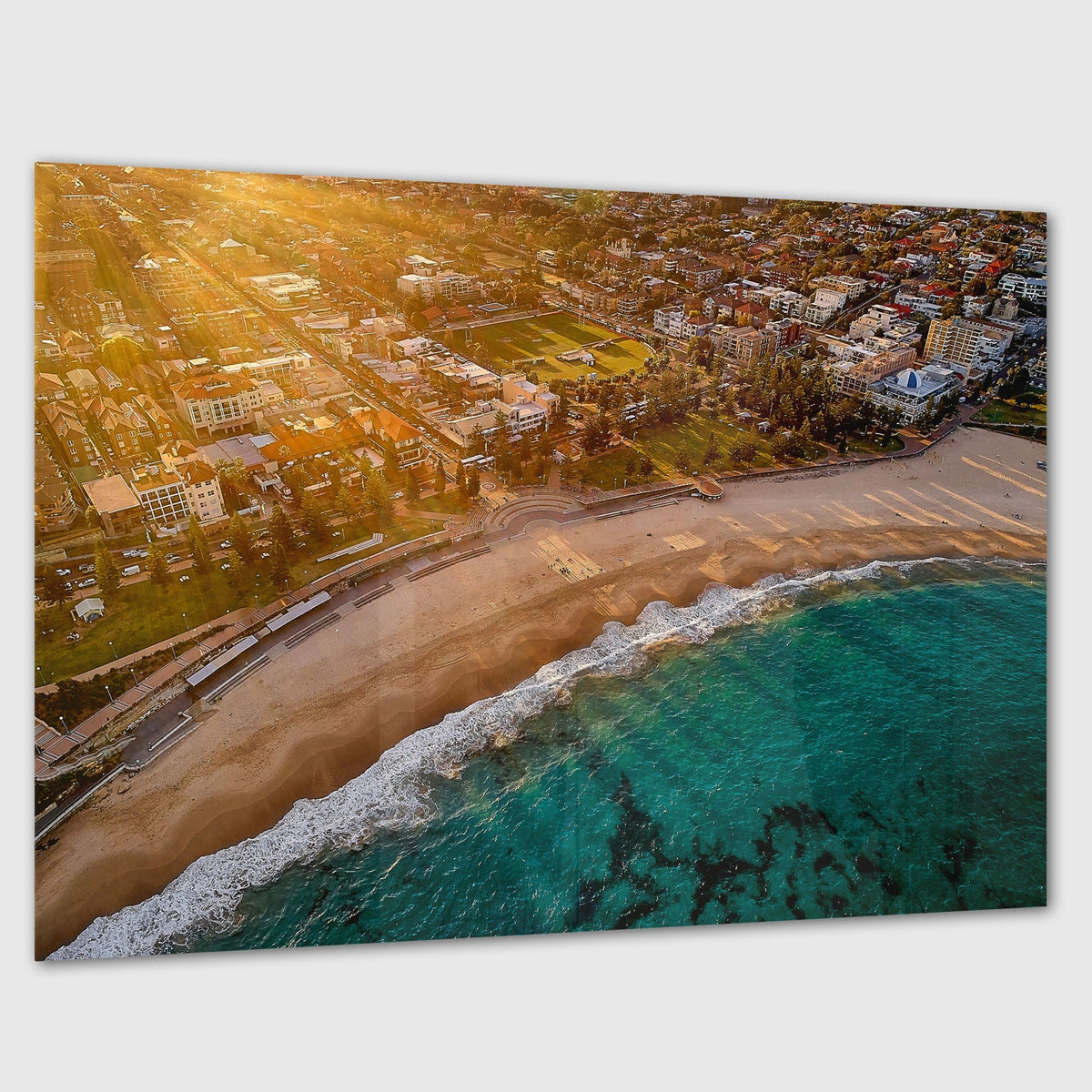Coogee Rays - Kess Gallery