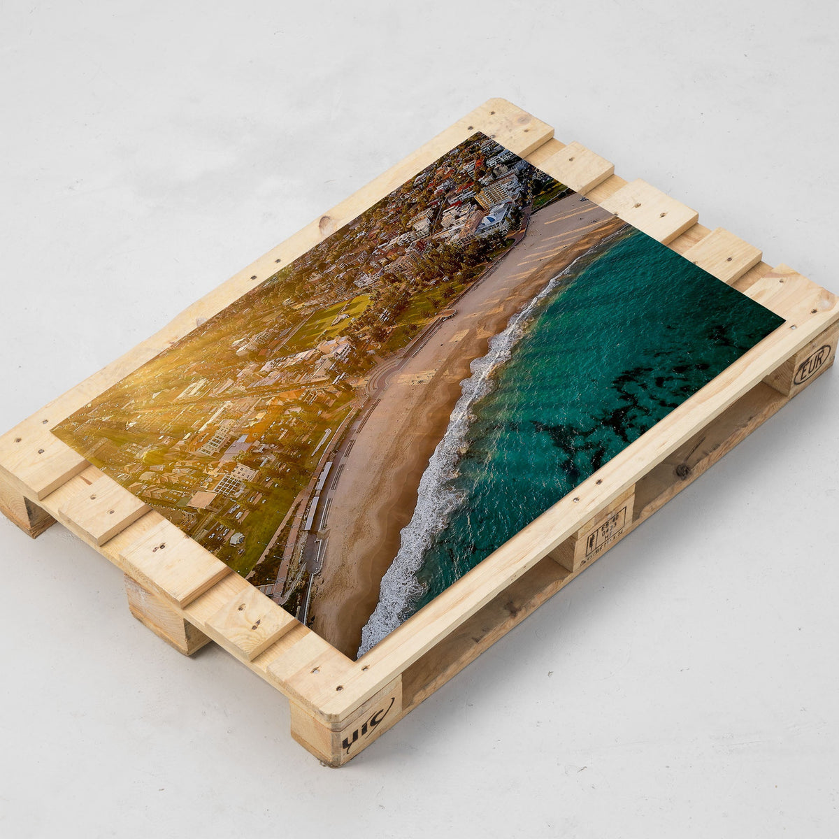 Coogee Rays - Kess Gallery