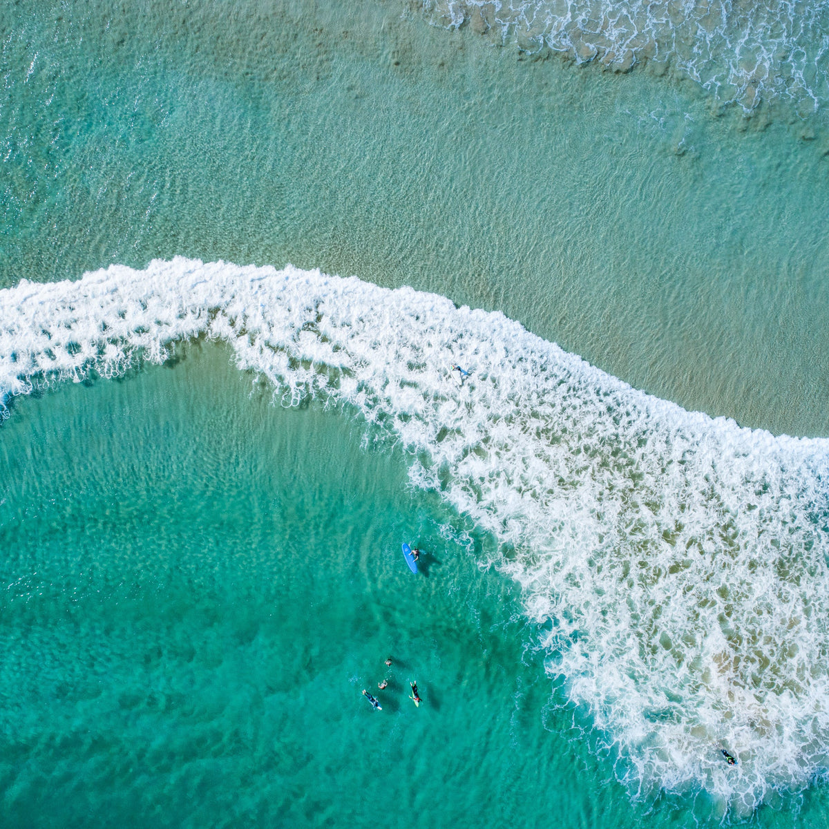 Frothy Shake - Kess Gallery