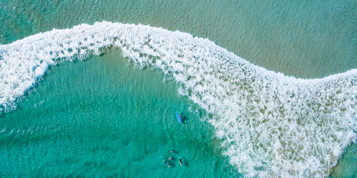 Frothy Shake - Pano - Kess Gallery