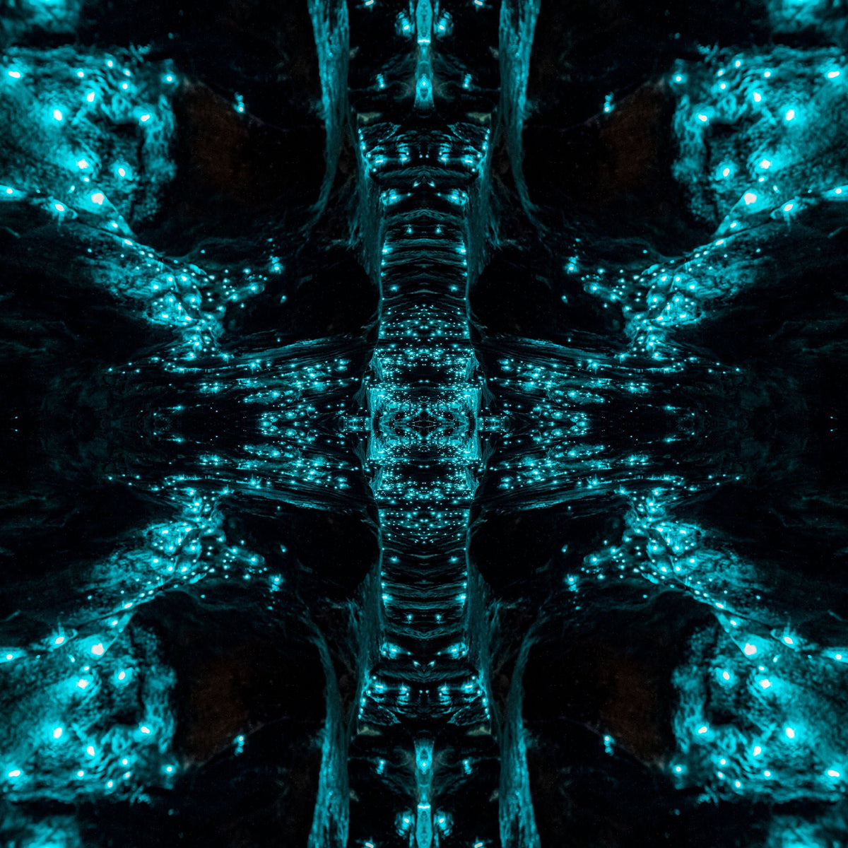 Glowworm Portal (2018) - Kess Gallery