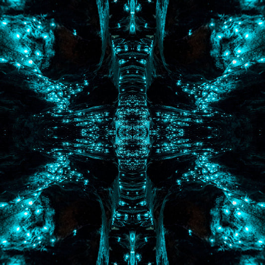 Glowworm Portal (2018) - Kess Gallery