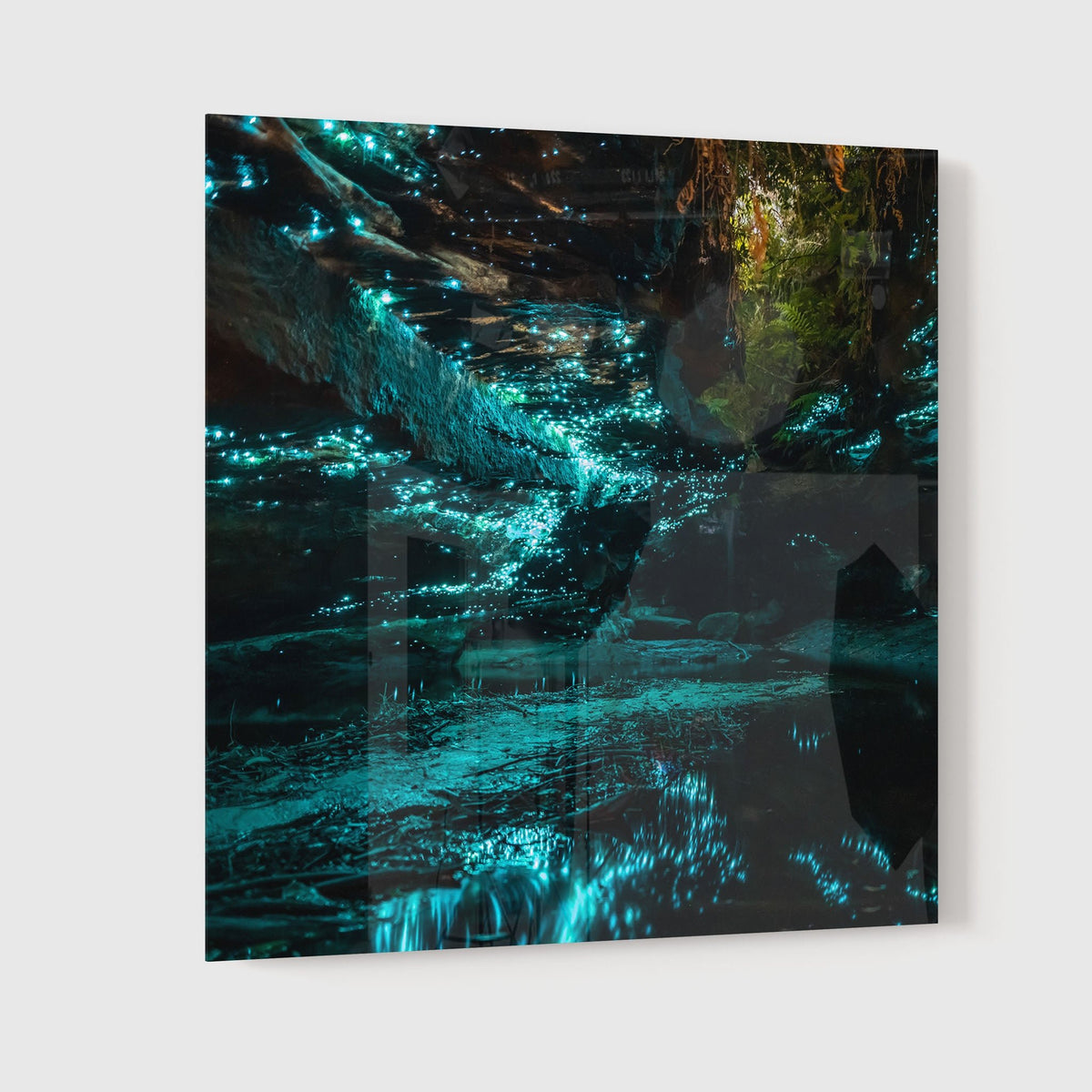Glowworms I - Kess Gallery