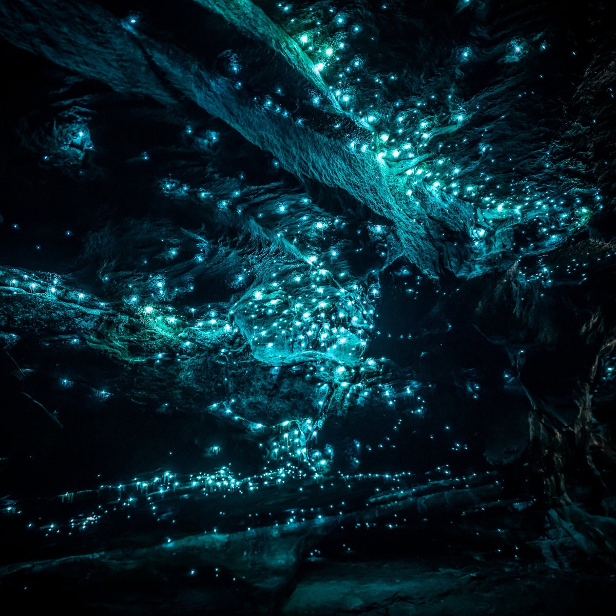 Glowworms II - Kess Gallery