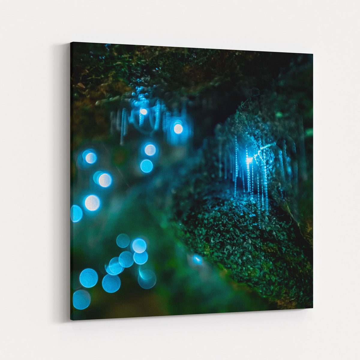 Glowworms III - Kess Gallery