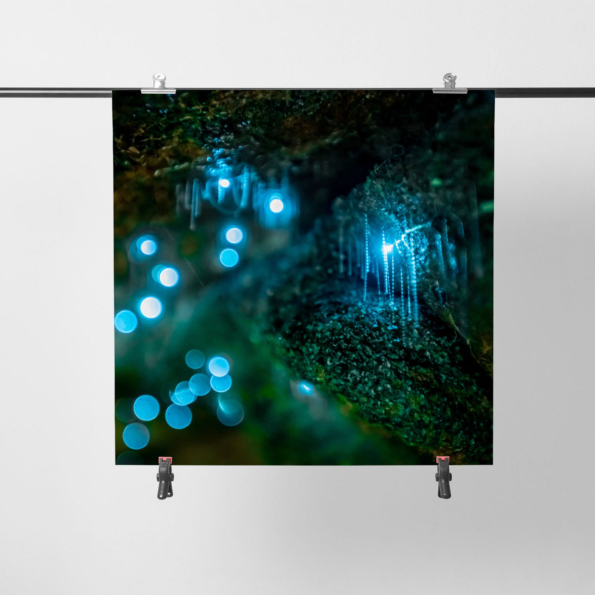 Glowworms III - Kess Gallery