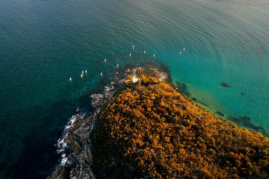 Grotto Point II - Kess Gallery