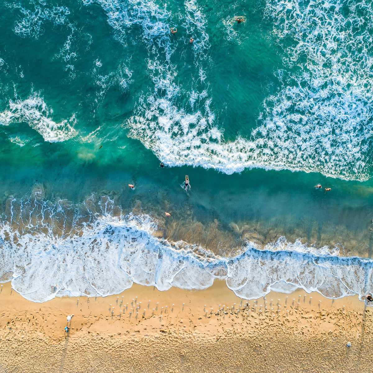 Morning Swim - Kess Gallery