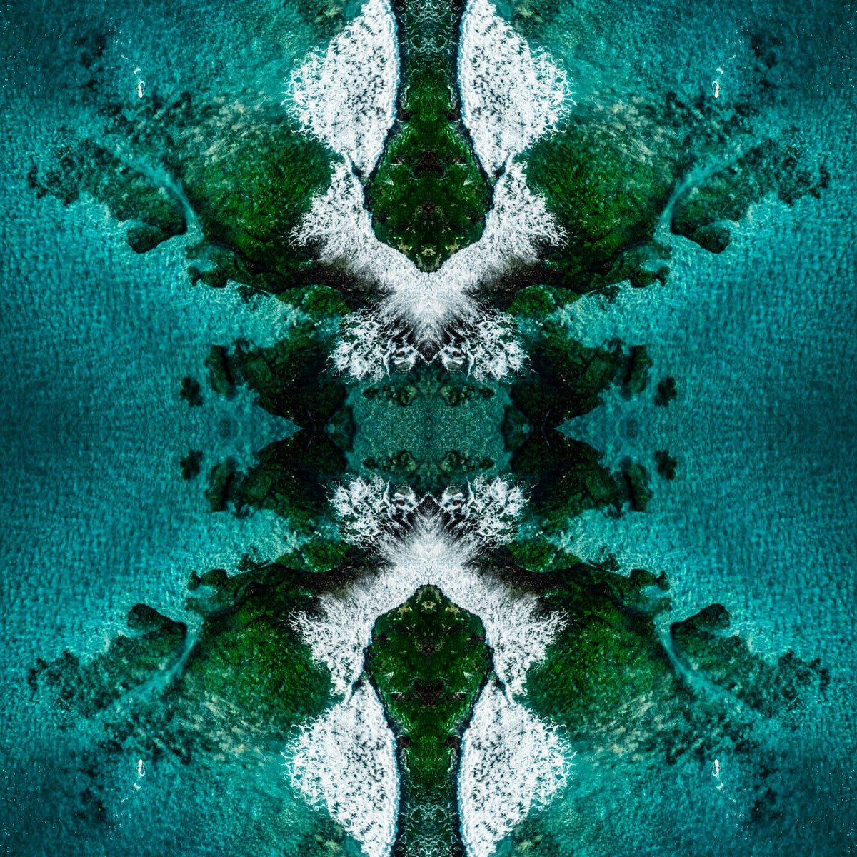 Reef Blot - Kess Gallery