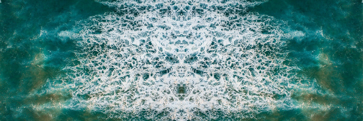 Seawolf - Kess Gallery