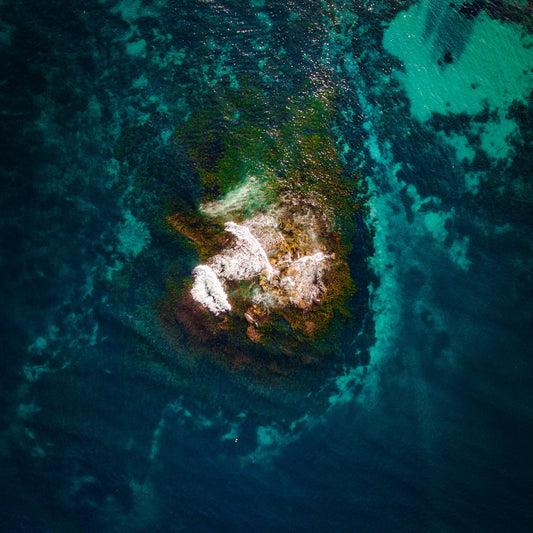 Shark Island II - Kess Gallery