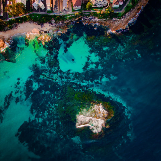 Shark Island III - Kess Gallery