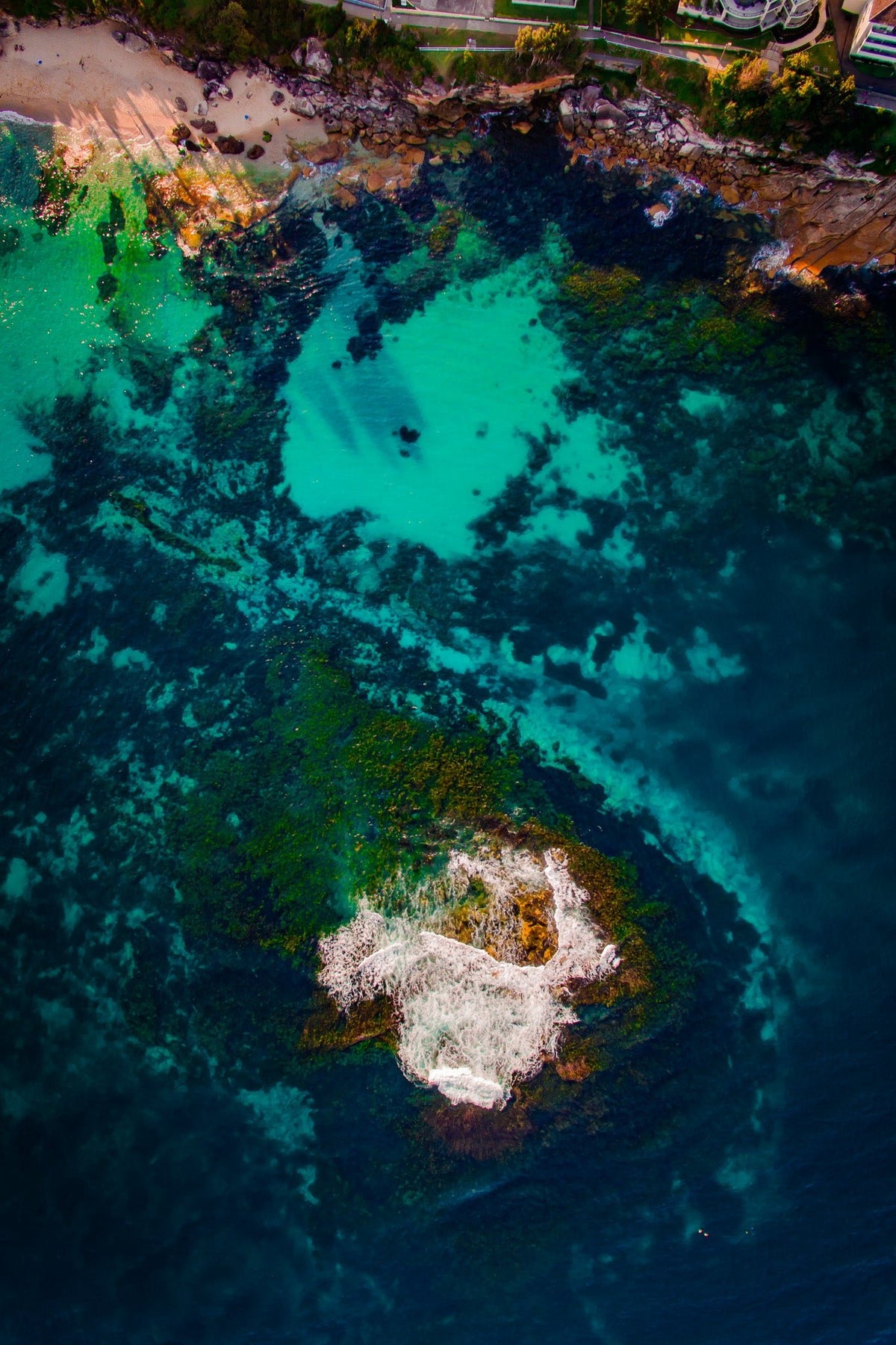 Shark Island IV - Kess Gallery