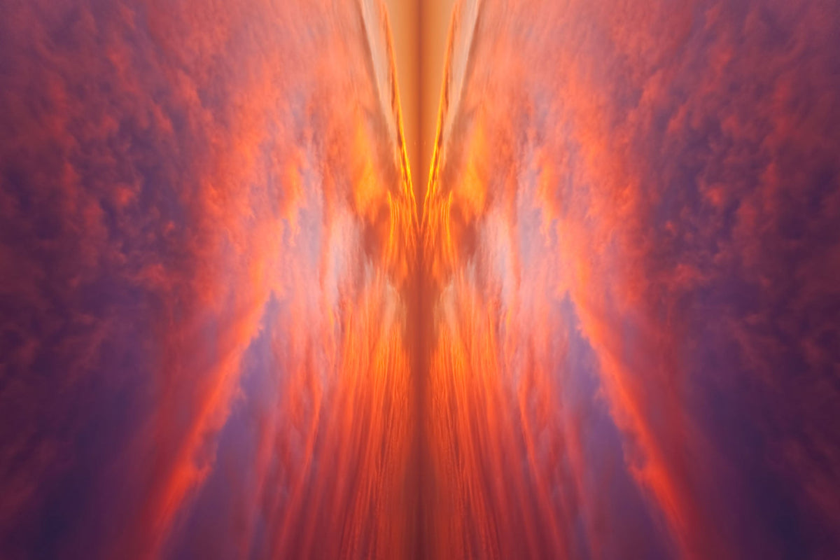 Sky Wings - Kess Gallery