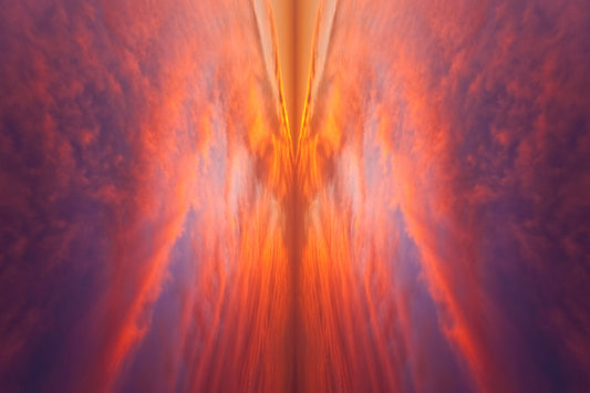 Sky Wings - Kess Gallery