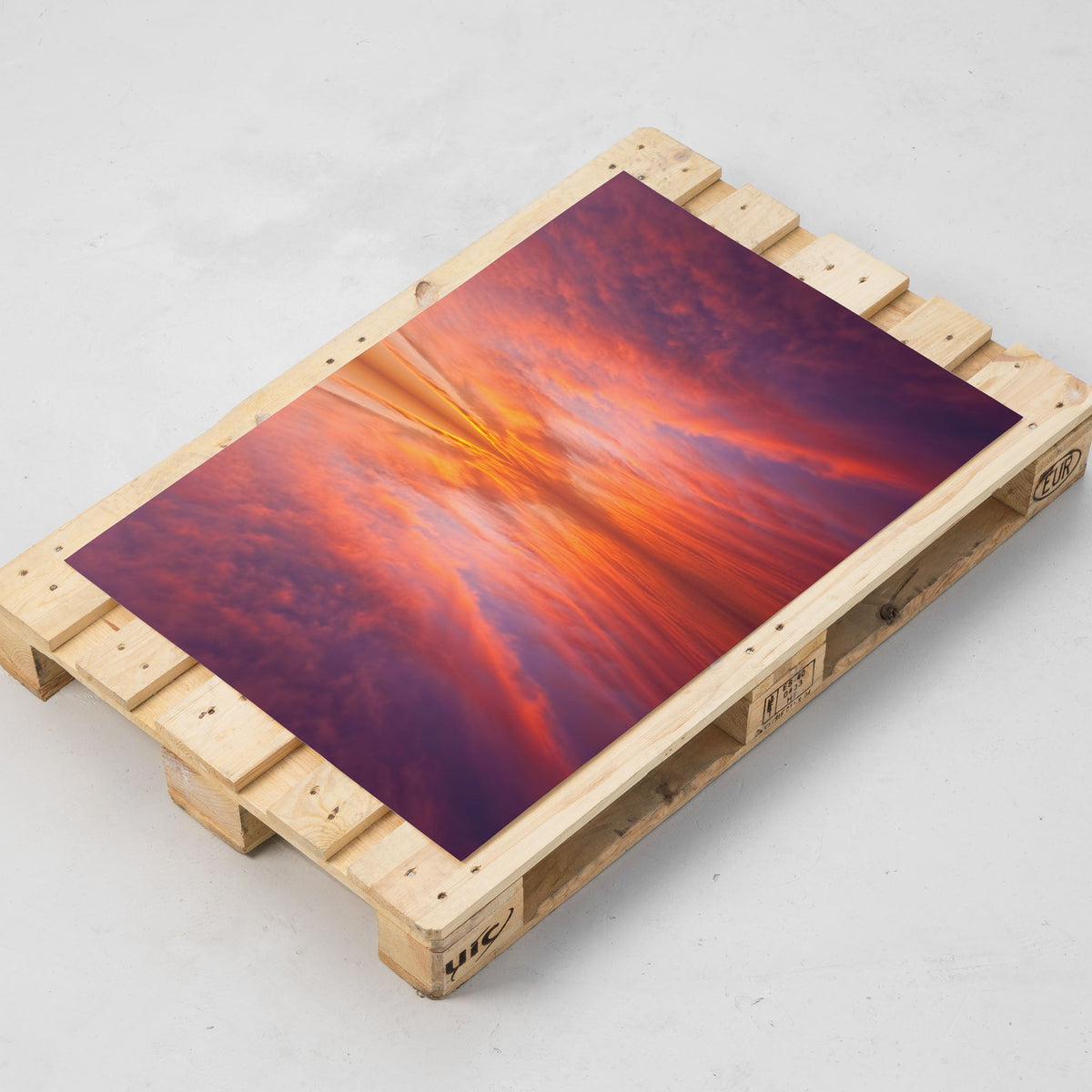 Sky Wings - Kess Gallery