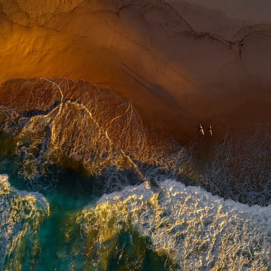 Tama Surfer Shadows - Kess Gallery