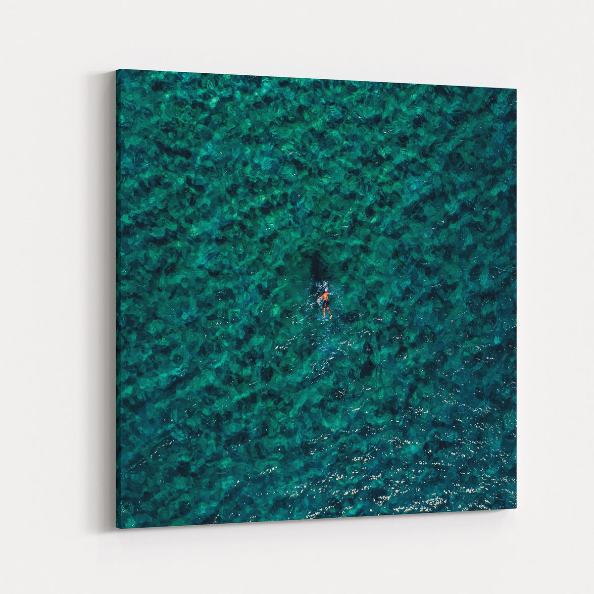 The Swimmer - Kess Gallery