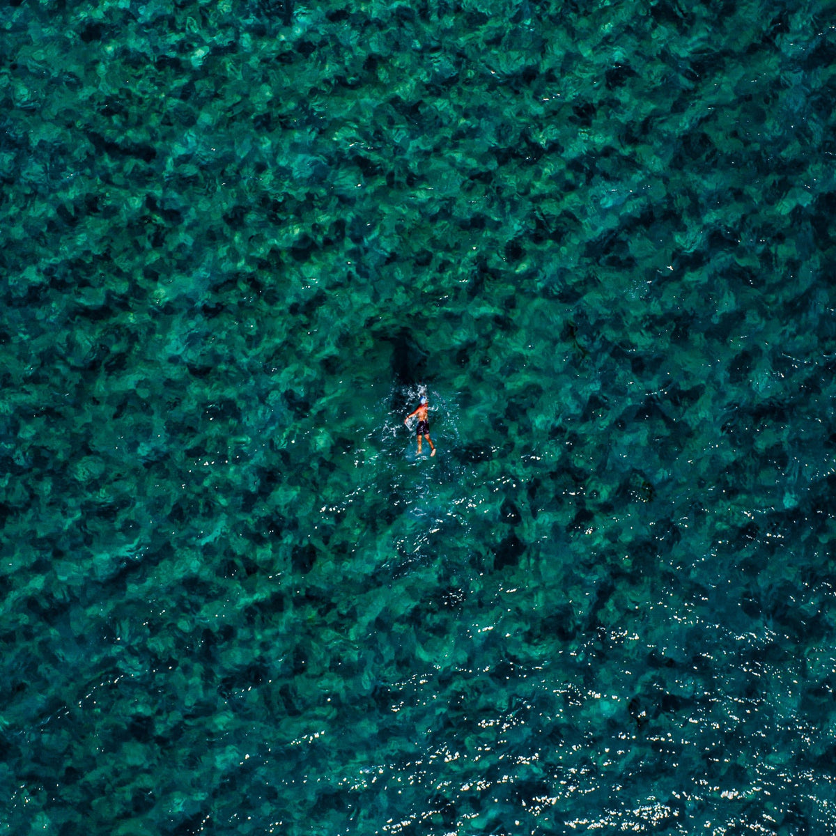 The Swimmer - Kess Gallery
