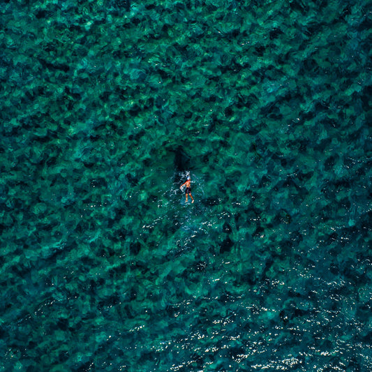 The Swimmer - Kess Gallery