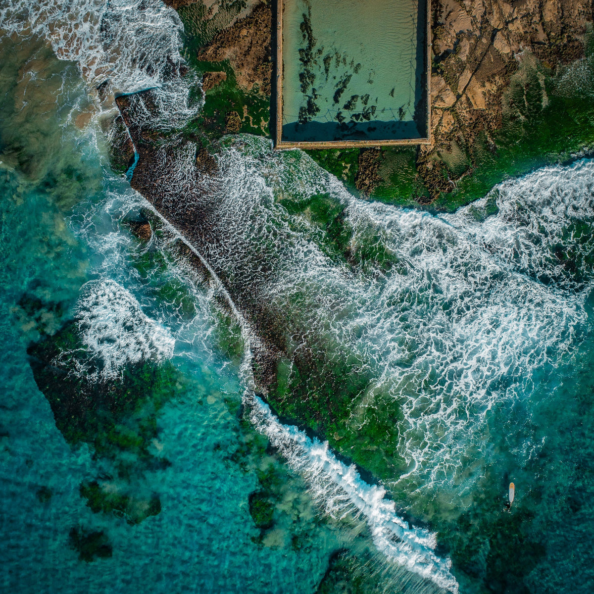 Turquoise Friday - Cronulla - Kess Gallery