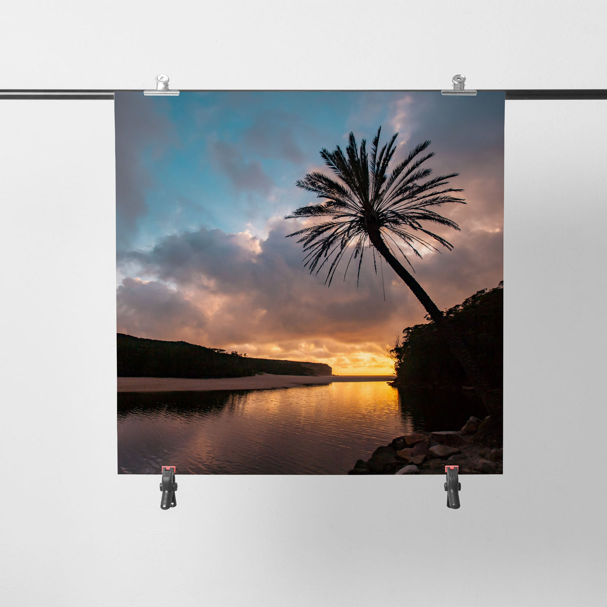 Wattamolla Palm I - Kess Gallery