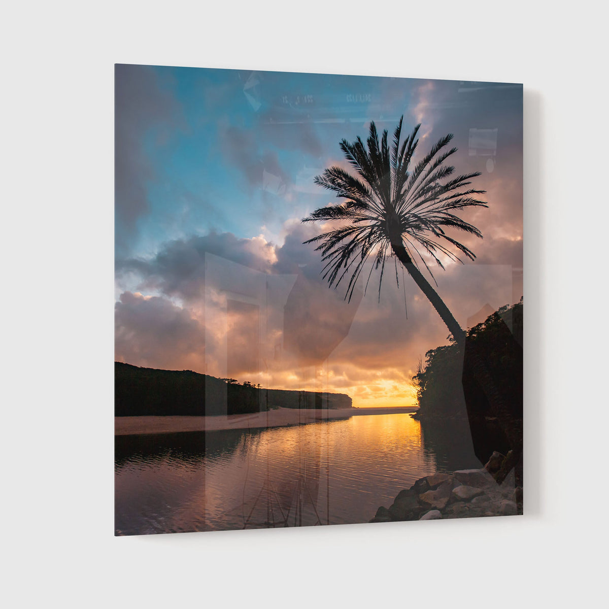 Wattamolla Palm I - Kess Gallery