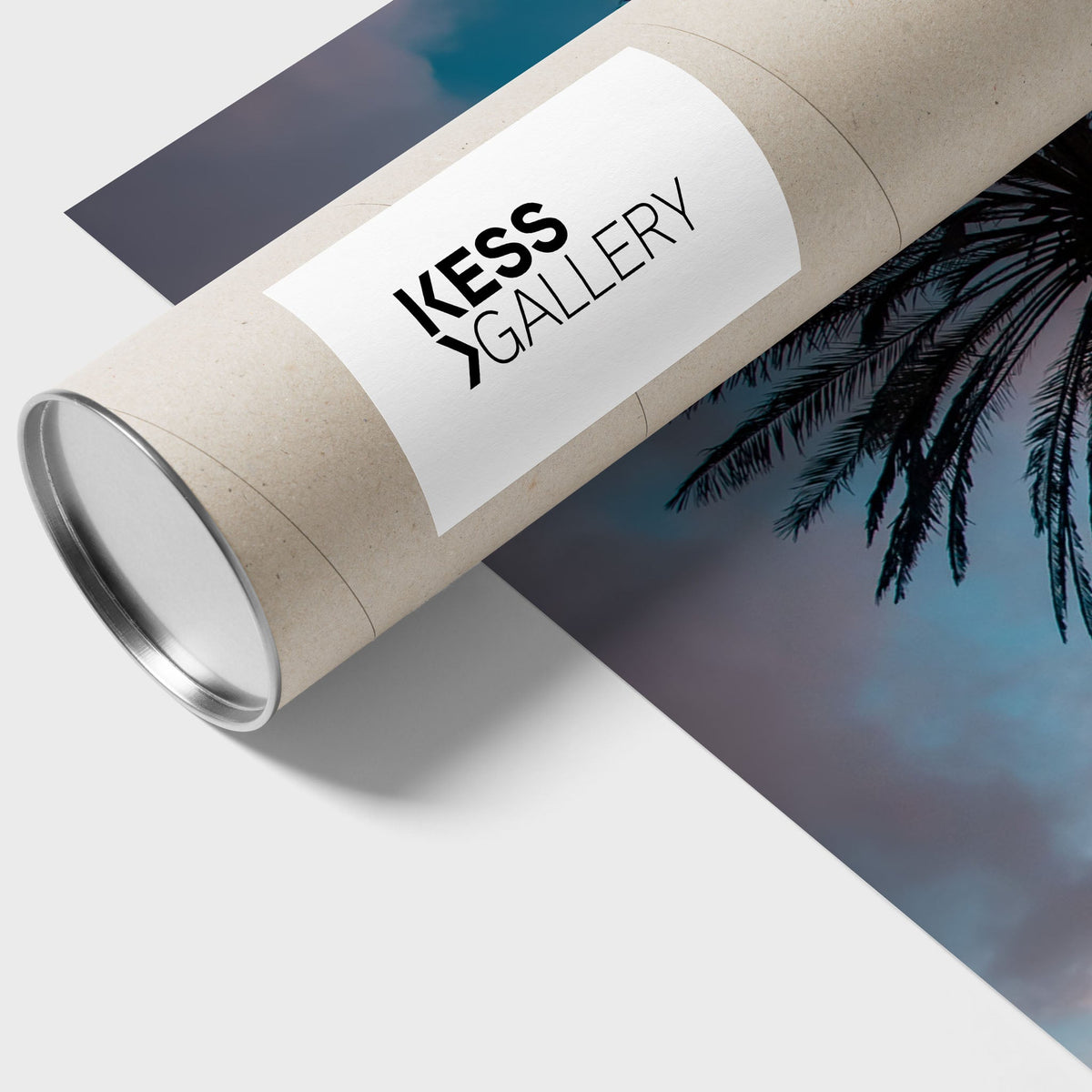 Wattamolla Palm II - Kess Gallery