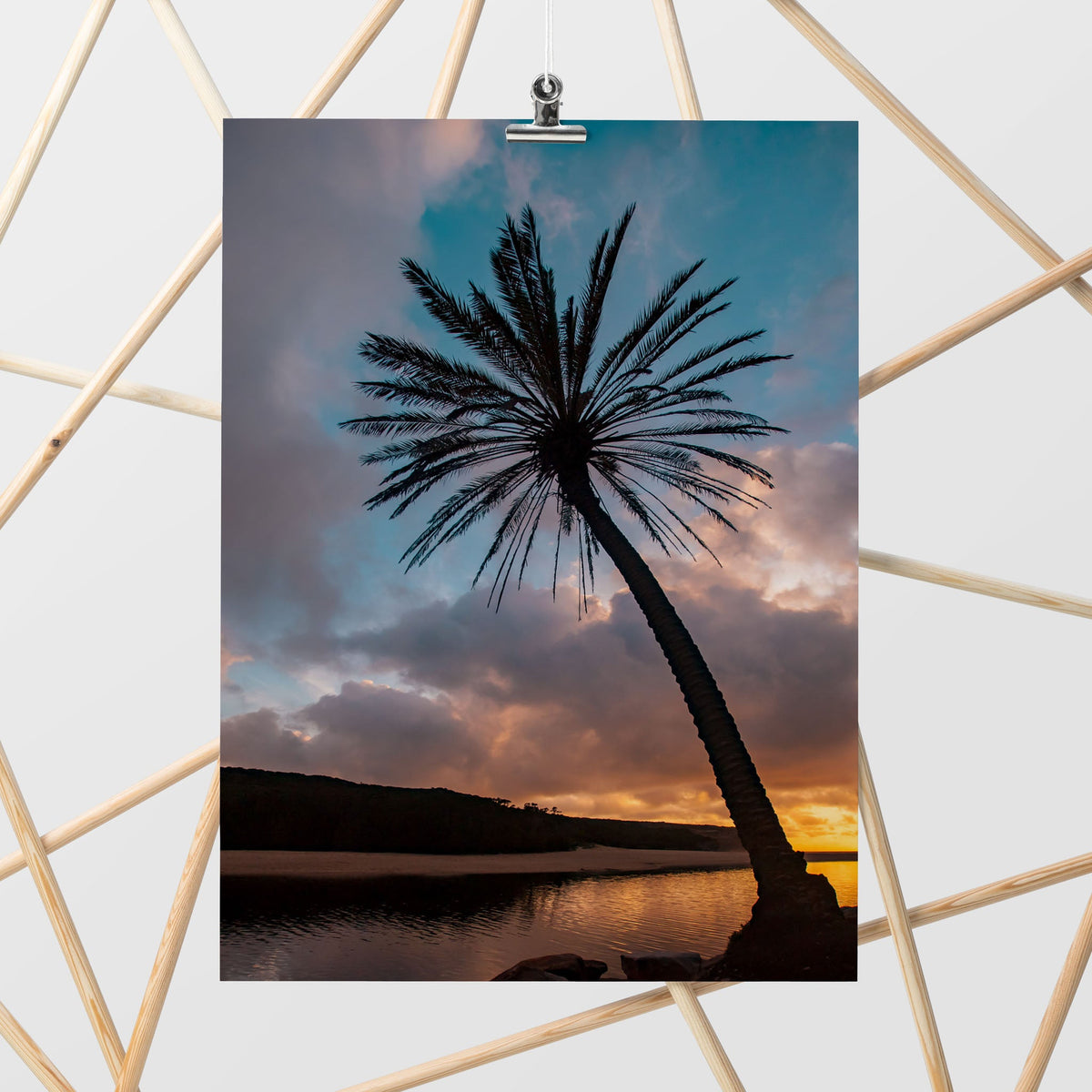 Wattamolla Palm II - Kess Gallery