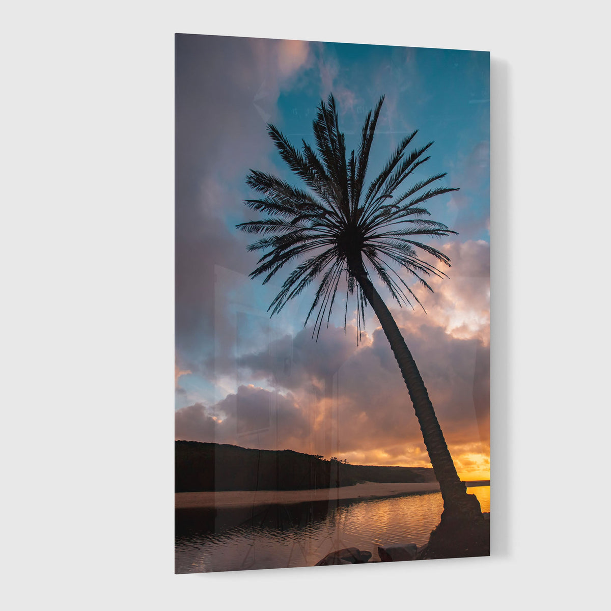 Wattamolla Palm II - Kess Gallery